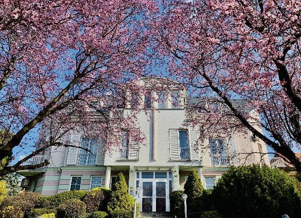 Rosental Dental Clinic and Implantology Center